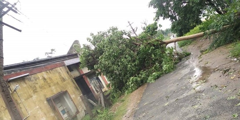 মৌসম ভবন সূত্রের খবর হাওয়ার গতিবেগ  ছিল প্রতি ঘন্টায় প্রায় ১২০ কিলোমিটার । সরকারি সূত্রের খবর, অনুমানের চেয়ে অনেক বেশিই ক্ষতি করেছে এই গাজা । 