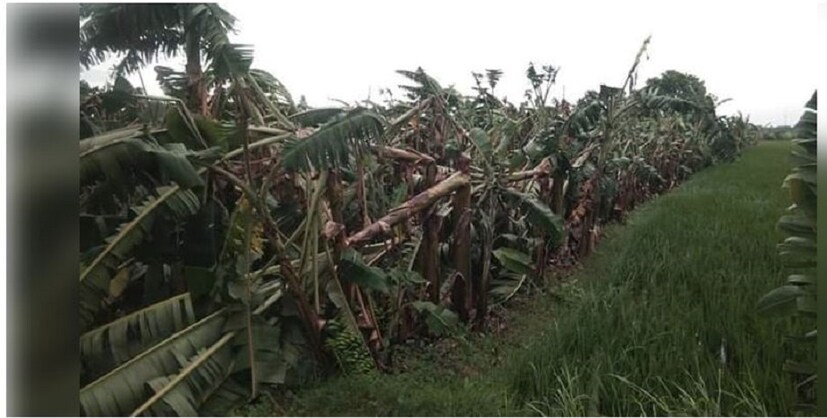 খাবার ও জরুরি ওষুধপত্রের ব্যবস্থা করেছে রাজ্য সরকার । যদিও ঝড় বিপর্যস্ত বহু এলাকায় স্থানীয়রা অভিযোগ জানিয়েছেন তাঁরা খাবার পান নি। (ছবি: News18 Tamil)
