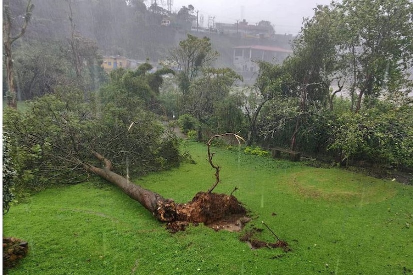 উদ্ধারকাজে নেমেছে প্রায় বিপর্যয় মোকাবিলা বাহিনীর প্রায় ১৫,০০০ সদস্য । ভূমিধ্বসের কারণে বিপুল ক্ষতির শিকার হয়েছে পাট্টূকোট্টাই ও আদিরামপট্টিনাম । আগে থেকেই সতর্কতা অবলম্বন অনেক বেশি ক্ষতির সম্মুখীন হয়েছে এই জেলাগুলি।