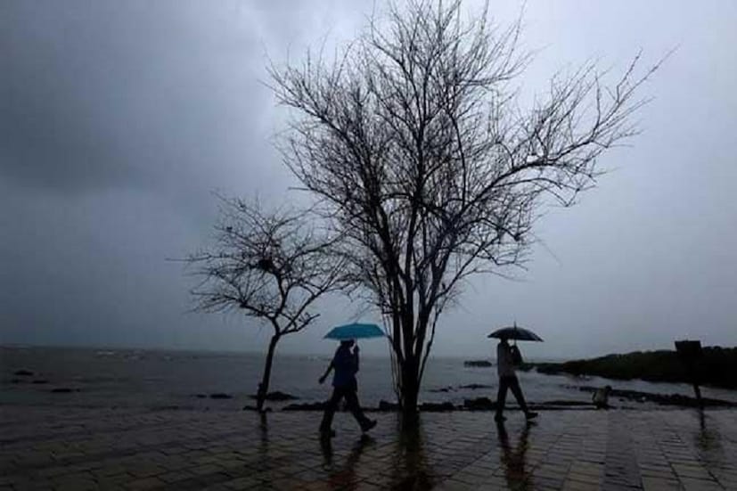 তবে আশার কথাও শুনিয়েছে আবহাওয়া দফতর । সংশ্লিষ্ট বিবৃতি অনুযায়ী শরতের আগেই দূর্বল হয়ে পড়বে এল নিনো । (ছবি: সংগৃহীত)