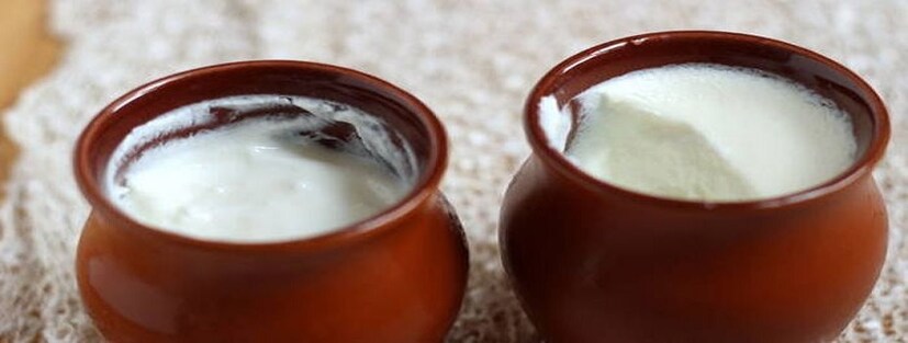 চাকরির ইন্টারভিউ বা পরীক্ষা দিতে যাওয়ার আগে কপালে দইয়ের টিপ পরুন। Photo Source: Collected
