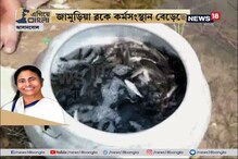 #EgiyeBangla: খোলামুখ খনির জলে মাছ চাষ স্বনির্ভর গোষ্ঠীর সদস্যদের, বাড়ছে কর্মসংস্থান #EgiyeBangla: খোলামুখ খনির জলে মাছ চাষ স্বনির্ভর গোষ্ঠীর সদস্যদের, বাড়ছে কর্মসংস্থান