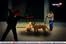 শিয়াল মেরে শ্রীঘরে ছাত্র ! শিয়াল মেরে শ্রীঘরে ছাত্র !