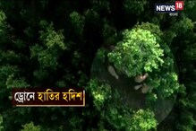 হাতির তাণ্ডবে অতিষ্ঠ জীবন, বন দফতরের ভূমিকায় বাড়ছে স্থানীয়দের ক্ষোভ হাতির তাণ্ডবে অতিষ্ঠ জীবন, বন দফতরের ভূমিকায় বাড়ছে স্থানীয়দের ক্ষোভ