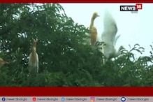 পাহাড়-নদী-জঙ্গল ঘেরা জঙ্গলমহল, আতঙ্ক কাটিয়ে নতুন স্বপ্নে বিভোর পাহাড়-নদী-জঙ্গল ঘেরা জঙ্গলমহল, আতঙ্ক কাটিয়ে নতুন স্বপ্নে বিভোর