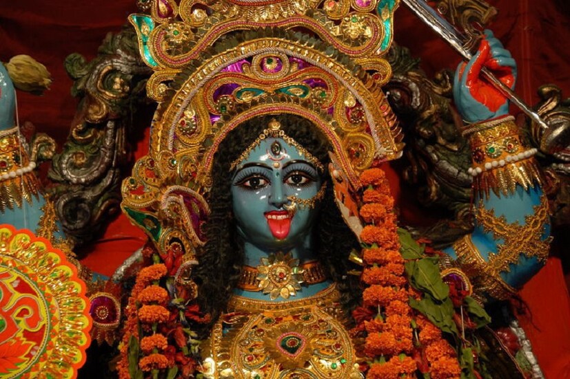 জীব হত্যা মহা পাপ, কোনও দেবতা জীবের রক্তে রাঙিয়ে কখনও খুশি হতে পারেন না ৷ মা কি কখনও সন্তানের মৃত্যুতে খুশি হতে পারেন ? ছবি সংগৃহীত ৷