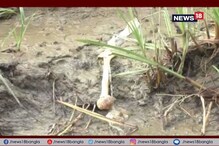 মাঠে চাষের কাজে যান এক ব্যক্তি ৷ মানুষের হাড়, খুলি দেখে আতঙ্ক মাঠে চাষের কাজে যান এক ব্যক্তি ৷ মানুষের হাড়, খুলি দেখে আতঙ্ক