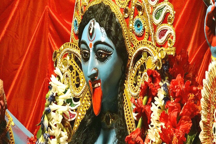 আখ থেকে চিনি তৈরি হয়ে থাকে ৷ সেই চিনিই গেঁজে গিয়ে মাদ্রকের আকার নেয় মায়ের পায়ে আখ বলি দিয়ে ৷ নিজেদের মাদ্রক মানসিকতাকে মায়ের পায়ে অর্পণ করার উদ্দেশেই আখ বিল দেওয়া হয় ৷ ছবি সংগৃহীত ৷