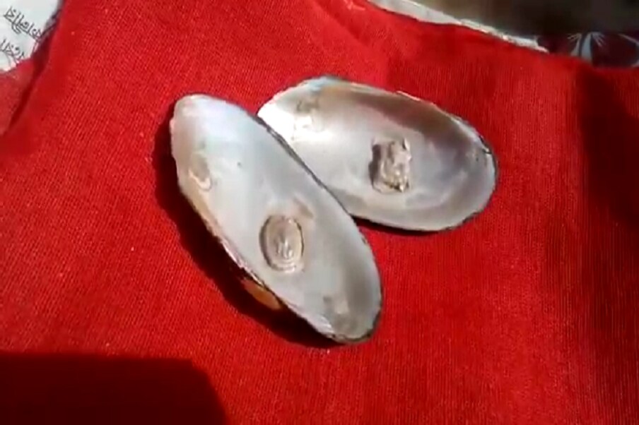  এ কোনও নতুন ঘটনা নয় এই রকমের ঘটনা মাঝে মধ্যেই প্রকাশ্যে আসে ৷