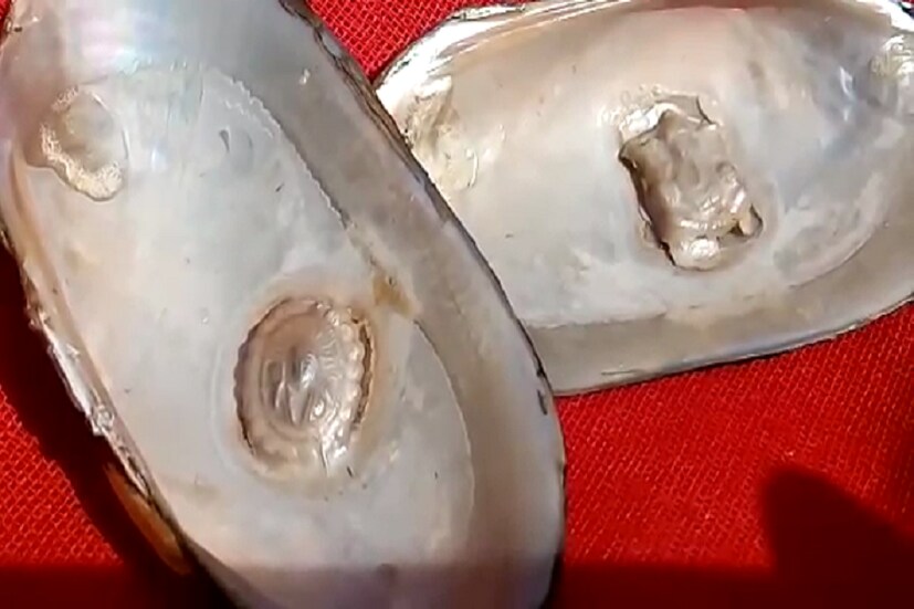 তবে এবারের ঘটনাস্থল মেদিনীপুরের কোলাঘাটের রামচন্দ্রপুর ৷ 