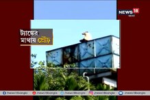 তিনদিন ধরে নিঁখোজ বৃদ্ধ, আশি ফুটের জলের ট্যাঙ্কের উপর পাওয়া গেল সন্ধান তিনদিন ধরে নিঁখোজ বৃদ্ধ, আশি ফুটের জলের ট্যাঙ্কের উপর পাওয়া গেল সন্ধান