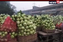 দক্ষিণ চব্বিশ পরগনার সবজি ভাণ্ডার, মাঠে উপচে পড়ছে সবজি। দক্ষিণ চব্বিশ পরগনার সবজি ভাণ্ডার, মাঠে উপচে পড়ছে সবজি।