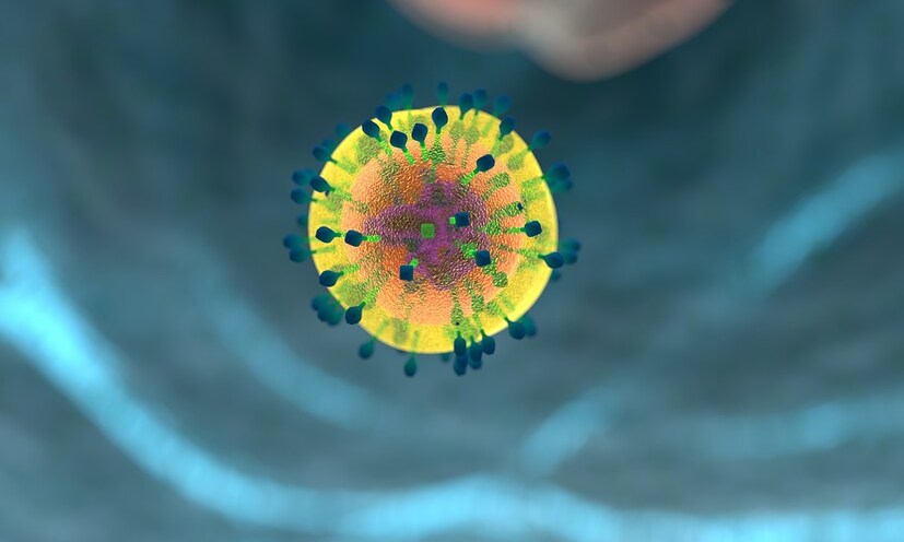 • কিন্তু জেনে রাখা ভাল, লালার আদান-প্রদানে HIV ভাইরাস ছড়ায় না ৷ শুধু তাই নয়, লালার মতোই ঘাম, চোখের জলও সম্পূর্ণ নিরাপদ ৷ সুতরাং একই বাথরুম ব্যবহার, স্পর্শ, চুমুতে এই রোগ ছড়ায় না ৷ এমনকি মশা, মাছি, ছাড়পোকার মতো পতঙ্গের মাধ্যমেও HIV ভাইরাস সংক্রমিত হয় না ৷