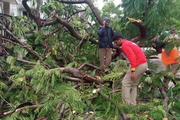 জোড়া কালবৈশাখীতে লণ্ডভণ্ড কলকাতা, বিভিন্ন রাস্তায় গাছ ভেঙে পড়ে বিপত্তি !