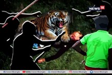 বাঘের হামলায় মৃত্যু মৎস্যজীবীর, সুন্দরবনে বাঘের হামলায় মৃত্যু মৎস্যজীবীর বাঘের হামলায় মৃত্যু মৎস্যজীবীর, সুন্দরবনে বাঘের হামলায় মৃত্যু মৎস্যজীবীর