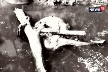 গরুরহাট থেকে মরা পশুর কারবার, চাঞ্চল্যকর অভিযোগ গরুরহাট থেকে মরা পশুর কারবার, চাঞ্চল্যকর অভিযোগ