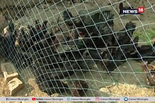 ржПржЗ ржорзБрж░ржЧрж┐рж░ ржорж╛ржВрж╕ ржУ ржбрж┐ржо ржирж╛ржХрж┐ ржХрзНржпрж╛ржирж╕рж╛рж░ ржПржмржВ рж╕рзБржЧрж╛рж░рзЗрж░ рж░рзЛржЧрзАржжрзЗрж░ ржЬржирзНржп ржЙржкржХрж╛рж░рзА ржПржЗ ржорзБрж░ржЧрж┐рж░ ржорж╛ржВрж╕ ржУ ржбрж┐ржо ржирж╛ржХрж┐ ржХрзНржпрж╛ржирж╕рж╛рж░ ржПржмржВ рж╕рзБржЧрж╛рж░рзЗрж░ рж░рзЛржЧрзАржжрзЗрж░ ржЬржирзНржп ржЙржкржХрж╛рж░рзА