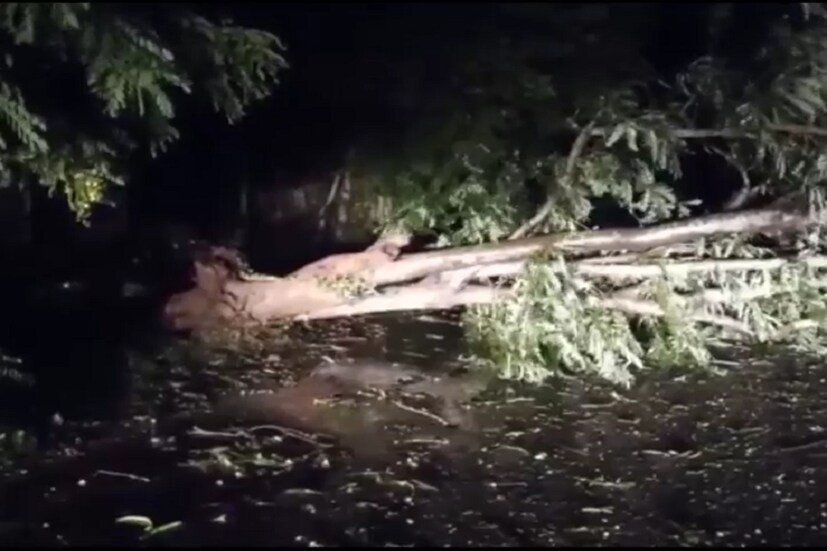 শুধুই নয় পারাদ্বীপ, বিশাখাপত্তনম, পুরী, খুরদা, গজপতিপুর, জগৎসিংপুরে প্রবল বৃষ্টিপাত ও ঝড়ের সূত্রপাত হয়েছে ৷ ছবি সংগৃহীত ৷