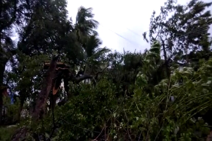 সমস্ত স্কুল ও কলেজে ছুটি ঘোষণা করেছিল অন্ধ্র ও ওড়িশা সরকার ৷ ছবি সংগৃহীত ৷ প্রতীকী ছবি ৷ 