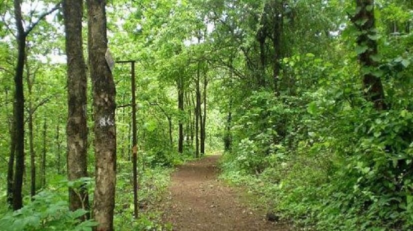 এর জন্য কলকাতা বন্দর ও রেলের অব্যবহৃত জমি নিয়েও দুই সংস্থার সঙ্গে কথা বলছে পুরসভা৷