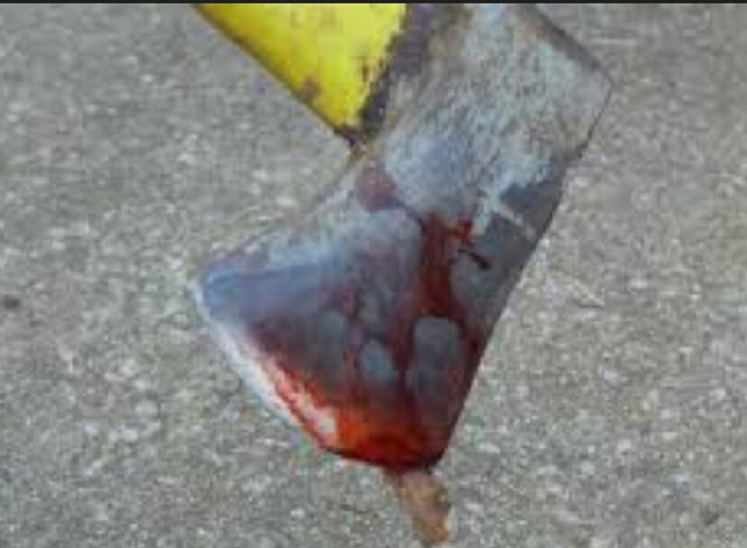 ♦ কুঠার দিয়ে নিজের মা’কে বারংবার আঘাত করে ছেলে ৷ এমনকী মায়ের মৃত্যুর পর তাঁর রক্তও নাকি পান করেছিল সে ৷ এমনটাই অভিযোগ ৷