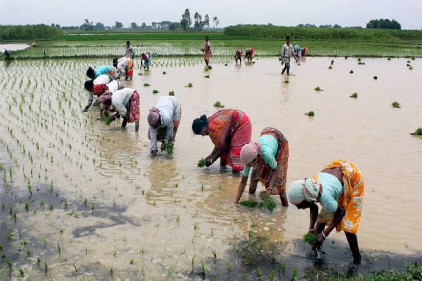 ফণীর ঝাপটায় ফসল নষ্টের আশঙ্কায় এখন কাঁটা রাজ্যের বিভিন্ন প্রান্তের কৃষকরা। ক্ষয়ক্ষতি সামলাতে আগেভাগেই বরাদ্দ ঘোষণা করেছে স্বরাষ্ট্রমন্ত্রক ৷ পশ্চিমবঙ্গের জন্য ২৩৫ কোটি, ওড়িশার জন্য বরাদ্দ ৩৪০ কোটি, তামিলনাড়ু পেল ৩০৯ কোটি এবং অন্ধ্রের জন্য ২০০ কোটি টাকা বরাদ্দ কেন্দ্রের ৷   (ছবি: সংগৃহীত)