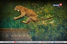 তিনদিনের লুকোচুরি শেষ, ধরা দিল সচিন তিনদিনের লুকোচুরি শেষ, ধরা দিল সচিন