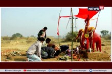 মৃত হাতিদের স্মরণে পুজো-মেলা, তাণ্ডব করলেও হাতিকে ‘দেবতা’ হিসেবে মানেন গ্রামবাসীরা মৃত হাতিদের স্মরণে পুজো-মেলা, তাণ্ডব করলেও হাতিকে ‘দেবতা’ হিসেবে মানেন গ্রামবাসীরা