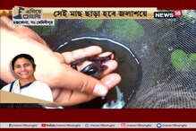#EgiyeBangla: ডেঙ্গির প্রকোপ কমাবে গাপ্পি চাষ, প্রশাসনের উদ্যোগে সেই মাছ বিক্রি করবে স্বনির্ভর দল #EgiyeBangla: ডেঙ্গির প্রকোপ কমাবে গাপ্পি চাষ, প্রশাসনের উদ্যোগে সেই মাছ বিক্রি করবে স্বনির্ভর দল