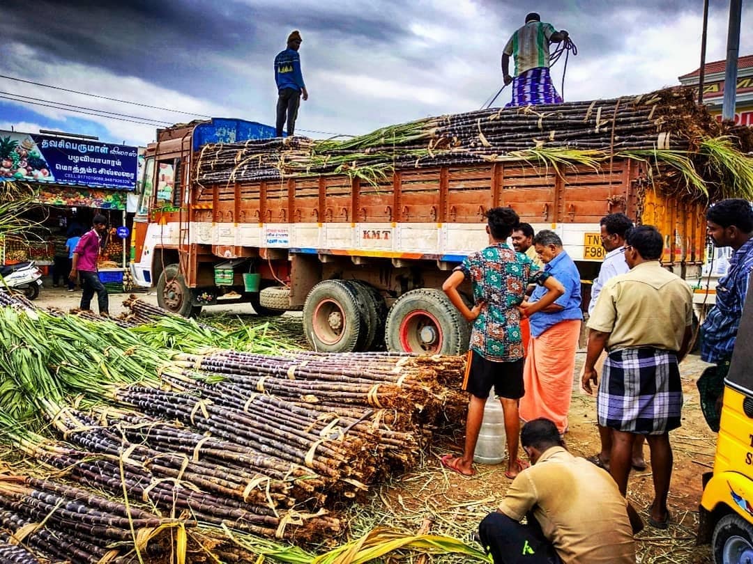 • ১২ আর ১৩ জানুয়ারি শনি ও রবিবার ৷ সরকারি কর্মচারিদের ছুটির দিন ৷ তার সঙ্গে এবার যোগ হল ১৪ তারিখ, অর্থাৎ সোমবারও ৷ • ১২ আর ১৩ জানুয়ারি শনি ও রবিবার ৷ সরকারি কর্মচারিদের ছুটির দিন ৷ তার সঙ্গে এবার যোগ হল ১৪ তারিখ, অর্থাৎ সোমবারও ৷