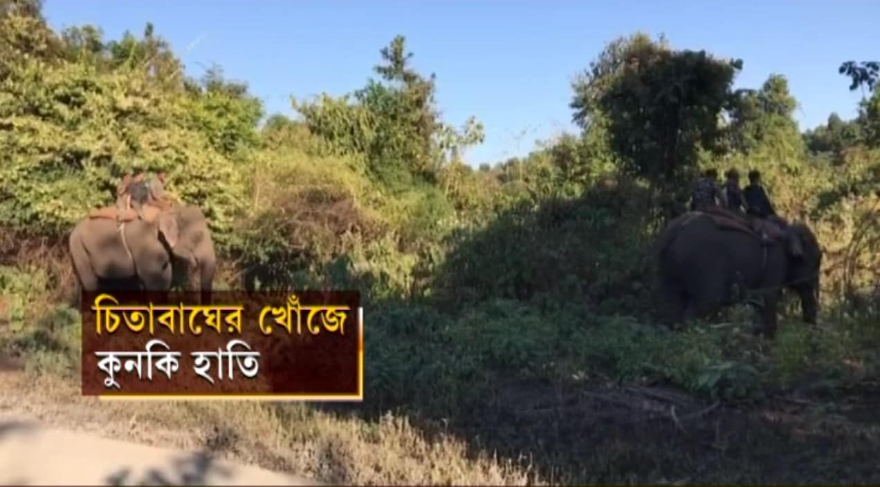 • ফের আজ সকাল থেকে শুরু হয়েছে অপারেশন ‘সচিন’ ৷ চিতাবাঘকে ধরতে জলদাপাড়া থেকে আনা হয়েছে আরও দু’টি কুনকি হাতি ৷ নিজস্ব চিত্র ৷ • ফের আজ সকাল থেকে শুরু হয়েছে অপারেশন ‘সচিন’ ৷ চিতাবাঘকে ধরতে জলদাপাড়া থেকে আনা হয়েছে আরও দু’টি কুনকি হাতি ৷ নিজস্ব চিত্র ৷