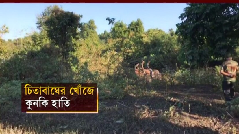 • চিতাবাঘ ধরতে খাঁচা পাতা হয়েছে ৷ ১৫ টি খাঁচা পেতেছে বনদফতর ৷ নিজস্ব চিত্র ৷