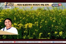 Video: #EgiyeBangla: গম চাষ বন্ধ, কৃষকদের তাই বিকল্প চাষে আগ্রহী করেছে রাজ্য সরকার Video: #EgiyeBangla: গম চাষ বন্ধ, কৃষকদের তাই বিকল্প চাষে আগ্রহী করেছে রাজ্য সরকার