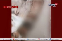 কুকুরছানাদের পিটিয়ে ‘খুন’, ময়নাতদন্তের রিপোর্টে উঠে এল চাঞ্চল্যকর তথ্য কুকুরছানাদের পিটিয়ে ‘খুন’, ময়নাতদন্তের রিপোর্টে উঠে এল চাঞ্চল্যকর তথ্য