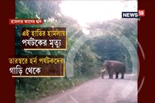 হাতিকে উত্যক্ত করার ভিডিও প্রকাশ্যে আসতেই শোরগোল হাতিকে উত্যক্ত করার ভিডিও প্রকাশ্যে আসতেই শোরগোল
