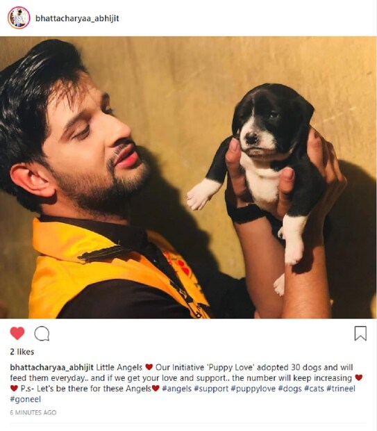 ♦ সেই কুকুরছানাগুলোকে রোজ খাবার খাওয়ার দায়িত্ব নিয়েছেন তিনি ৷ এই সংখ্যাটি আরও বাড়তে পারে বলে জানিয়েছেন অভিনেতা ৷ ছবি: ইনস্টাগ্রাম ৷