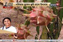 #EgiyeBangla: ড্রাগন ফ্রুট চাষে উৎসাহ, আর্থিক ও প্রযুক্তিগত সব ধরনের সহায়তা করছে প্রশাসন #EgiyeBangla: ড্রাগন ফ্রুট চাষে উৎসাহ, আর্থিক ও প্রযুক্তিগত সব ধরনের সহায়তা করছে প্রশাসন