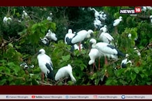কুলিককে পরিবেশবান্ধব রাখতে উদ্যোগ কেন্দ্রের, কপালে ভাঁজ স্থানীয় কৃষকদের কুলিককে পরিবেশবান্ধব রাখতে উদ্যোগ কেন্দ্রের, কপালে ভাঁজ স্থানীয় কৃষকদের