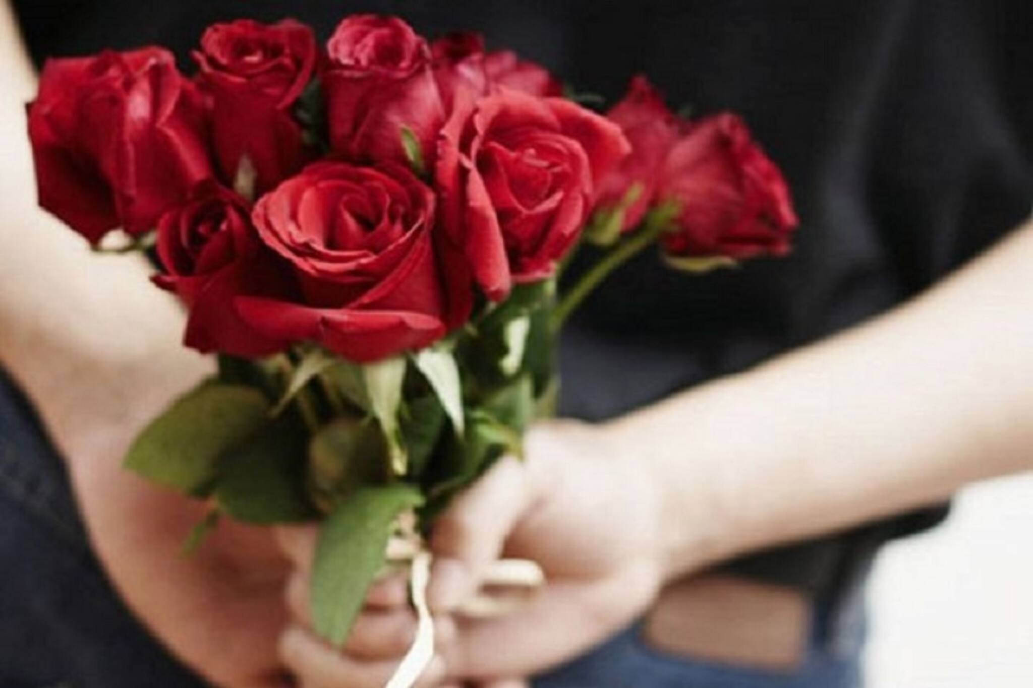 ‘Rose’ দিবসে প্রেম বাড়ুক গোলাপে !