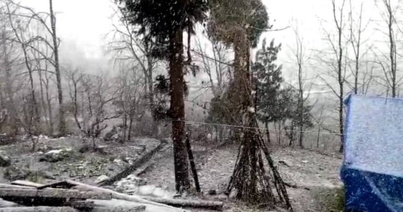 • বৃষ্টি হয়েছে জলপাইগুড়ি, আলিপুদুয়ারেও ৷ 