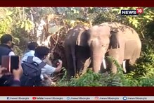হাওড়ায় হাতির হানা, আতঙ্কিত এলাকাবাসী হাওড়ায় হাতির হানা, আতঙ্কিত এলাকাবাসী