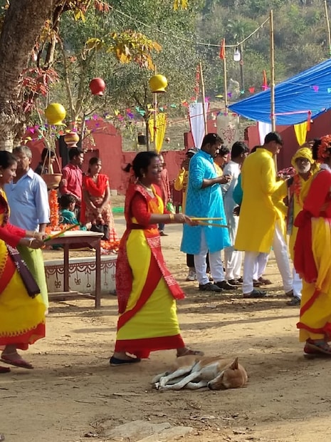 শুরু হল আবির খেলা।উড়ল আবির। রঙিন হল আকাশ। উপস্থিত মানুষজন গেয়ে উঠলেন আদিবাসী গান। যারা শহর থেকে গিয়েছেন এবারের পলাশ পরবে, তাঁরা যেন তাঁদের শহুরে নকল মুখোসকে বিদায় জানিয়েছেন। এখানে পা রেখেই তাঁরাও হয়ে উঠেছেন একদম সেই পাহাড়িয়া ছেলেটি বা মেয়েটি