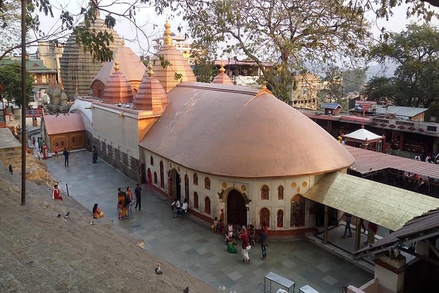 এর মধ্যে ত্রিপুরাসুন্দরী, মাতঙ্গী ও কমলা প্রধান মন্দিরে পুজো হয়ে থাকে । অন্যান্য দেবীদের জন্য ভিন্ন মন্দির আছে ৷ ছবি সংগৃহীত ৷ এর মধ্যে ত্রিপুরাসুন্দরী, মাতঙ্গী ও কমলা প্রধান মন্দিরে পুজো হয়ে থাকে । অন্যান্য দেবীদের জন্য ভিন্ন মন্দির আছে ৷ ছবি সংগৃহীত ৷