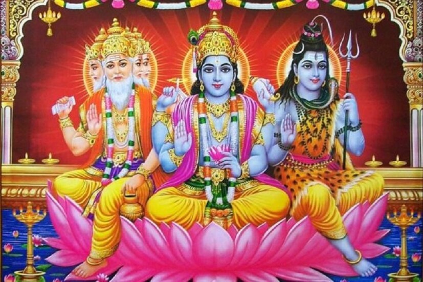 বিষ্ণুপুরাণ মতে এই দিনে ভগবাম বিষ্ণু থুথু ফেলেছিলেন এরফলেই আমলকি গাছের জন্ম হয়েছে ৷ তাই সেই আমলকি গাছের ভগবান বিষ্ণুর বাস আছে বলেই মনে করা হয় ৷ ছবি সংগৃহীত ৷