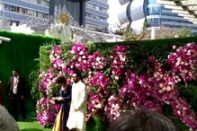 আকাশ আম্বানির বিয়েতে হাজির হলেন সস্ত্রীক আমির খান, দেখুন এক্সক্লুসিভ ভিডিও আকাশ আম্বানির বিয়েতে হাজির হলেন সস্ত্রীক আমির খান, দেখুন এক্সক্লুসিভ ভিডিও