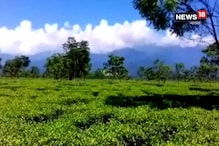 আলাদা মহকুমা হলে মিটবে অনেক সমস্যা, তাই এমন দাবি ধূপগুড়ির বাসিন্দাদের... আলাদা মহকুমা হলে মিটবে অনেক সমস্যা, তাই এমন দাবি ধূপগুড়ির বাসিন্দাদের...