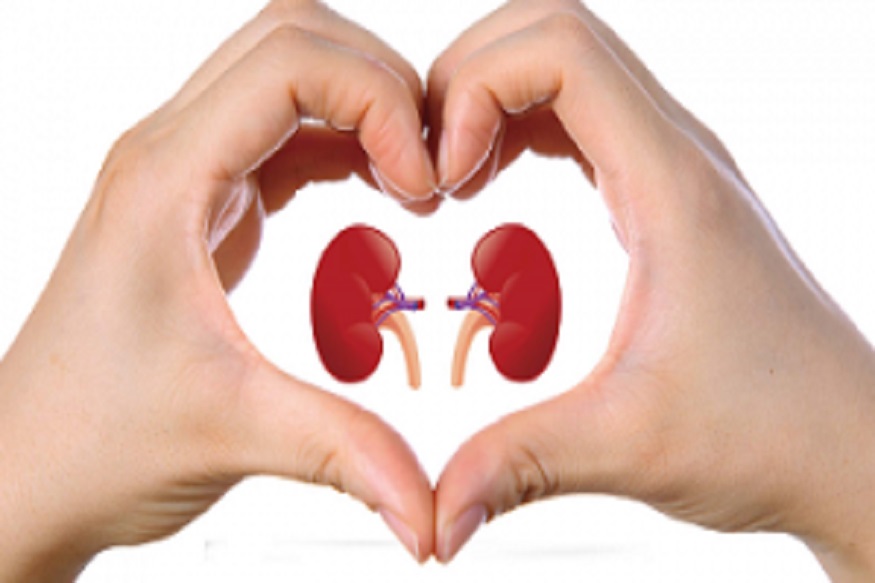 world kidney day: কিডনি সুস্থ রাখতে অবশ্যই খান এই সব খাবার