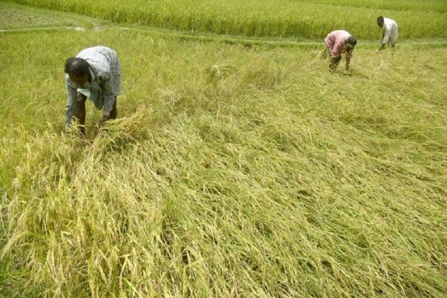 প্রধানমন্ত্রী নরেন্দ্র মোদি গত ২৪ ফেব্রুয়ারি উত্তরপ্রদেশের গোরক্ষপুরে প্রধানমন্ত্রী কিষাণ সম্মান নিধি যোজনা-র শুরু করেন৷ এই যোজনার আওতায় বছরে ৬০০০ টাকা দেওয়া হবে কৃষকদের তিনটি কিস্তিতে৷ প্রথম কিস্তিতে কৃষকদের ব্যাঙ্ক অ্যাকাউন্টে ২০০০ টাকা দেওয়া হয়েছে৷ দেখা গিয়েছে, এমন কিছু লোকের ব্যাঙ্ক অ্যাকাউন্টে টাকা গিয়েছে, যাদের সঙ্গে কৃষিকাজের কোনও সম্পর্কই নেই৷ প্রধানমন্ত্রী নরেন্দ্র মোদি গত ২৪ ফেব্রুয়ারি উত্তরপ্রদেশের গোরক্ষপুরে প্রধানমন্ত্রী কিষাণ সম্মান নিধি যোজনা-র শুরু করেন৷ এই যোজনার আওতায় বছরে ৬০০০ টাকা দেওয়া হবে কৃষকদের তিনটি কিস্তিতে৷ প্রথম কিস্তিতে কৃষকদের ব্যাঙ্ক অ্যাকাউন্টে ২০০০ টাকা দেওয়া হয়েছে৷ দেখা গিয়েছে, এমন কিছু লোকের ব্যাঙ্ক অ্যাকাউন্টে টাকা গিয়েছে, যাদের সঙ্গে কৃষিকাজের কোনও সম্পর্কই নেই৷