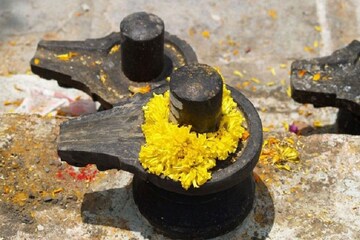 মহাশিবরাত্রি: জেনে নিন দুধ, দই, ঘি, মধু ঢালার সময় আলাদা আলাদা শিবমন্ত্র