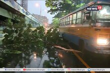 ফের কলকাতায় কালবৈশাখী, রেড রোড-সহ নানা জায়গায় গাছ পড়ে বিপত্তি ফের কলকাতায় কালবৈশাখী, রেড রোড-সহ নানা জায়গায় গাছ পড়ে বিপত্তি